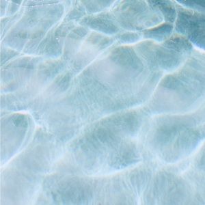 Meet your Posher, lailah crigler